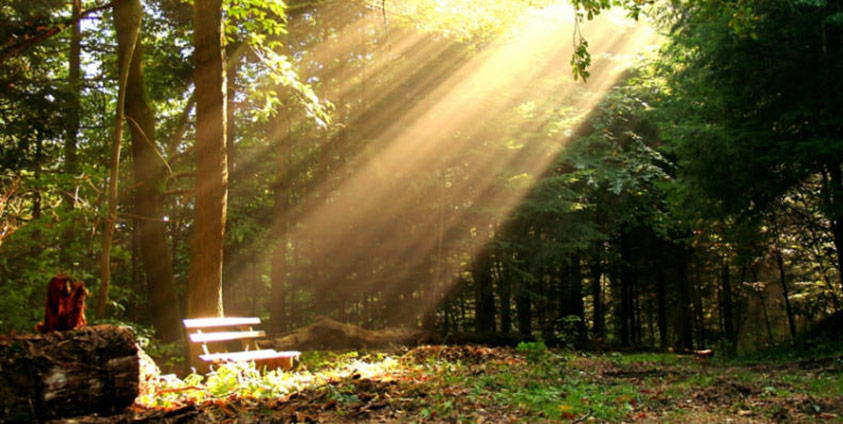 Wellness Herbst