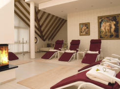 Kaminzimmer_SPA